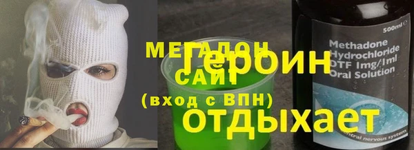 индика Алексин