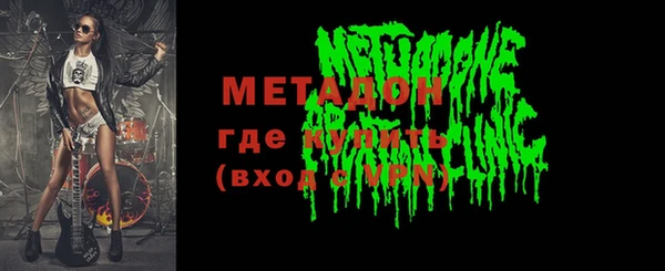 индика Алексин