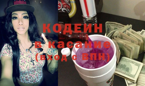 индика Алексин