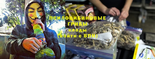 не бодяженный Алзамай