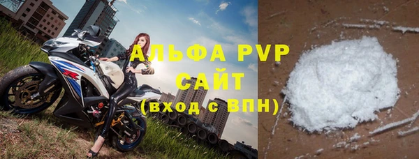 индика Алексин