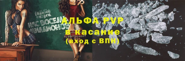 индика Алексин