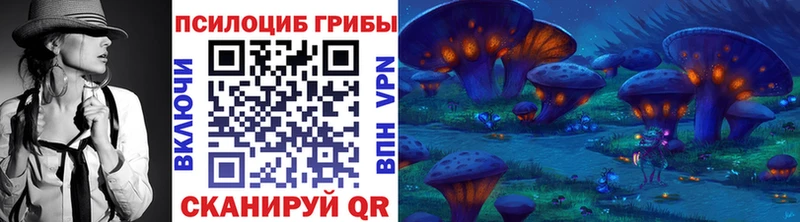 Псилоцибиновые грибы GOLDEN TEACHER  Новопавловск 